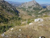 Bild 2 - Grundstück zum Kaufen in Podgorica