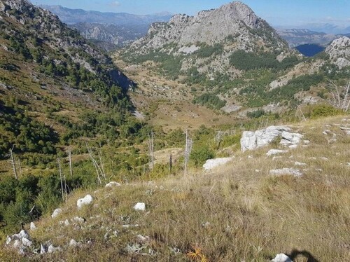 Bild 2 - Grundstück zum Kaufen in Podgorica