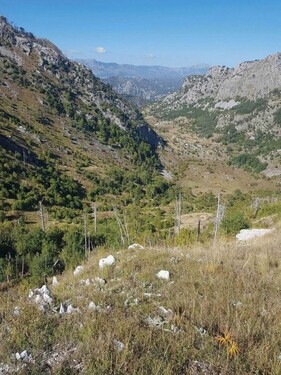 Bild 3 - Grundstück in Podgorica