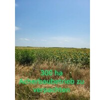 300 ha Ackerbaubetrieb zu verpachten Südrumänien - Pescari