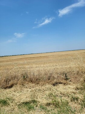 Bild 2 - 3 Zimmer Einfamilienhaus zum Kaufen in Pescari