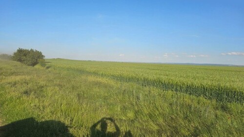 Bild 3 - 3 Zimmer Einfamilienhaus in Pescari