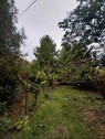 Bild 4 - Einfamilienhaus mit 118,00 m&sup2; in Bátaszék zum Kaufen