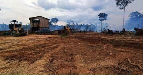 Bild 1 - Brasilien 1500 Ha Rohstoff Land zu verkaufen