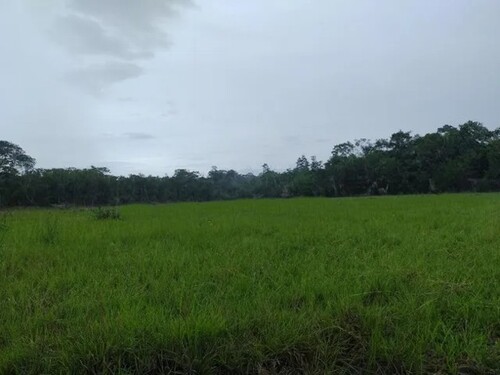 Bild 1 - Bauernhof mit 7000ha Rohstoff Land in Para Brasilien
