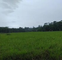 Bauernhof mit 7000ha Rohstoff Land in Para Brasilien - Castanhal