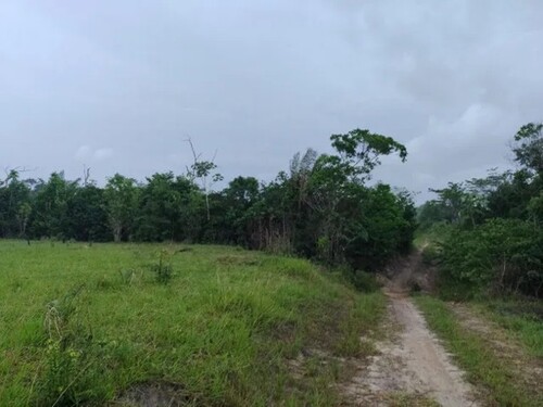 Bild 2 - Grundstück zum Kaufen in Castanhal