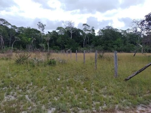 Bild 4 - Grundstück in Castanhal zum Kaufen