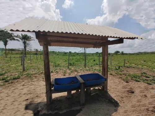 Bild 4 - Grundstück in Marajo zum Kaufen