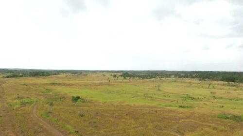 Bild 1 - 1500 Hektar Farm mit Farmhaus in Region Belem