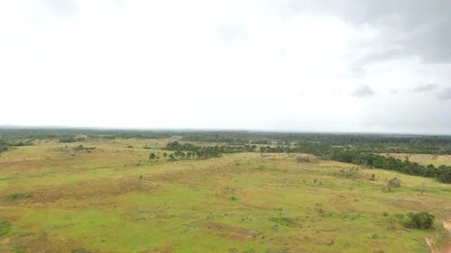 Bild 2 - Grundstück zum Kaufen in Belem