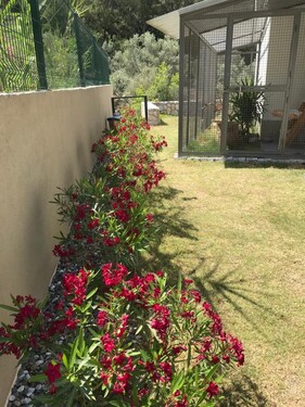 Bild 4 - Einfamilienhaus mit 175,00 m² in Turunç (Marmaris Muğla) zum Kaufen