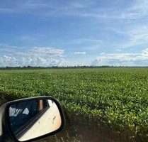 7140 Hektar grosse Agro-Farm in Brasilien - Paragominas