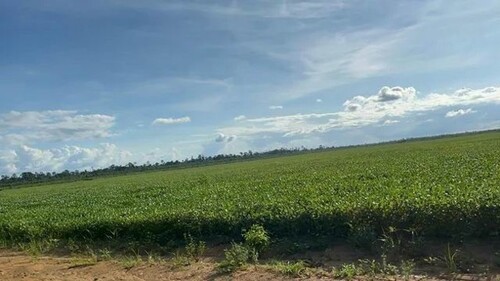 Bild 2 - Grundstück zum Kaufen in Paragominas