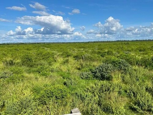 Bild 3 - Grundstück in Paragominas