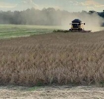 Grosse Soja Farm 2210 Hektar zum Verkauf in Brasilien - Tome-Acu