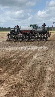 Bild 2 - 1 Zimmer Einfamilienhaus zum Kaufen in Tome-Acu