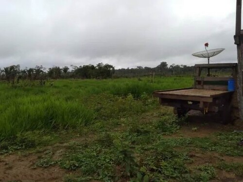 Bild 1 - Grosses 1750 Hektar Grundstück zum Tiefpreis in Brasilien