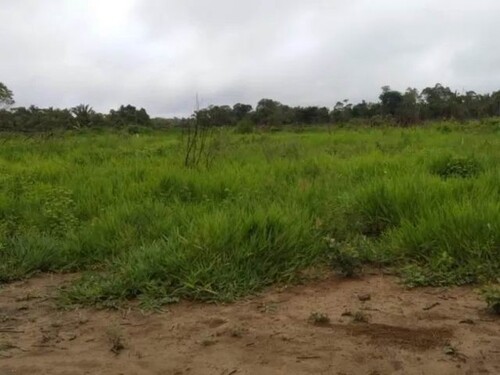 Bild 2 - Grundstück zum Kaufen in Manaus