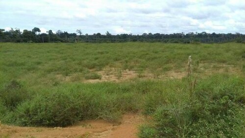 Bild 3 - Grundstück in Manaus