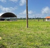 Brasilien 7115 ha grosse Agro-Farm in Paragominas