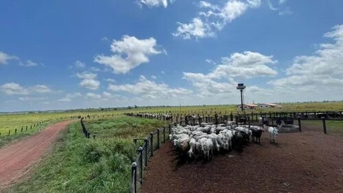 Bild 3 - Grundstück in Paragominas