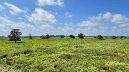 Bild 4 - Grundstück in Paragominas zum Kaufen