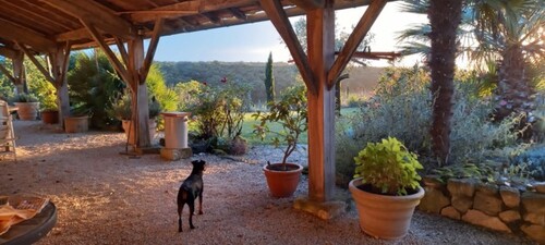 Bild 4 - Einfamilienhaus mit 260,00 m&sup2; in Boulaour zum Kaufen