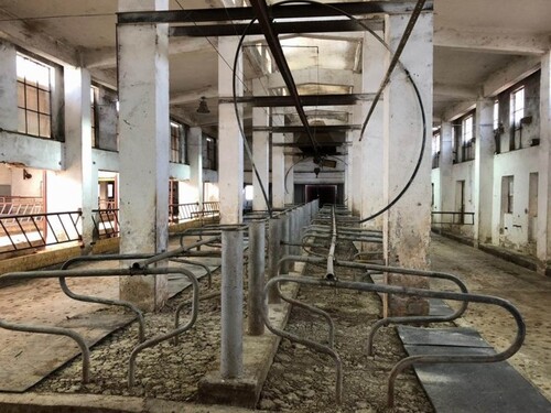 Bild 4 - Einfamilienhaus mit 200,00 m² in Pescari zum Kaufen