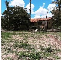 Rinderfarm 2534 Hektar an einem Fluss gelegen - Januaria