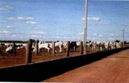 Bild 4 - Grundstück in Agua Boa zum Kaufen