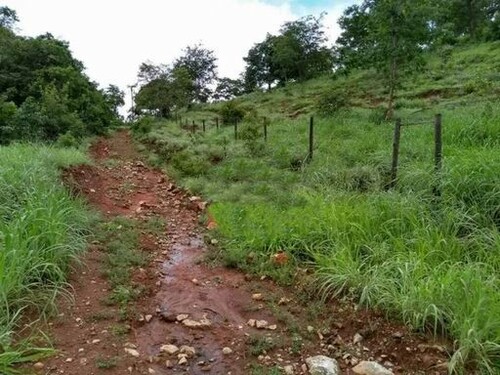 Bild 3 - Grundstück in Barro Alto