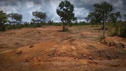 Bild 1 - Brasilien 22500 Ha Rohstoff-Land Region Manaus Amazonas