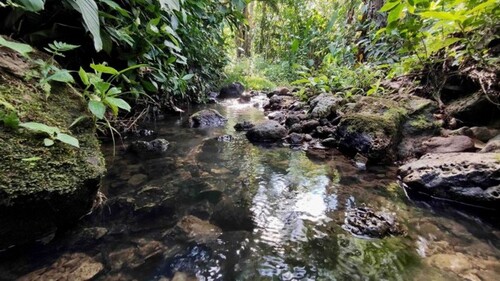 Bild 3 - Grundstück in Puerto San Francisco de Orellana