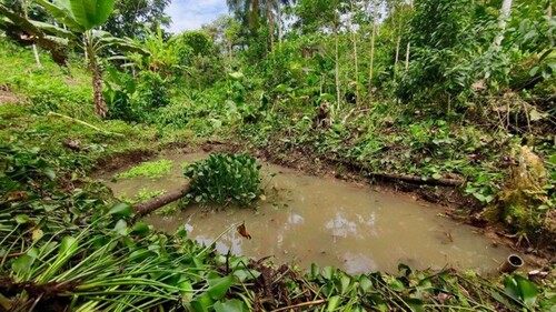 Bild 4 - Grundstück in Puerto San Francisco de Orellana zum Kaufen