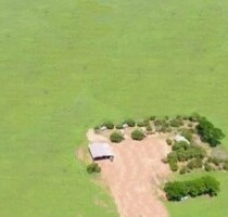 Brasilien 25000 Hektar grosse Soja Farm zum Verkauf - Belem