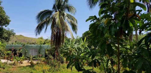 Bild 1 - Organic-Fruit-Farm Dominikanische Republik