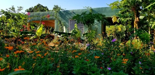 Bild 3 - 2 Zimmer Einfamilienhaus in Las Galeras