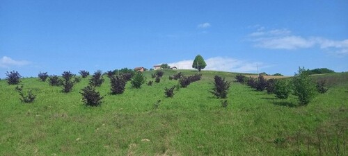Bild 1 - Haus Verkauf in Bosnien und Herzegowina