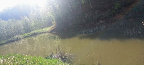 Bild 3 - 4 Zimmer Einfamilienhaus in Laktasi