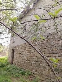 Bild 3 - 5 Zimmer Einfamilienhaus in Popovo