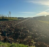 Istrien großes Baugrundstück für den Bau von Villen - Umag Savudrija