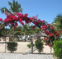 Kleines Boutique Hotel direkt am tropischen Sandstrand - Canavieiras Bahia