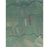 Grundstück in Rumänien - 240.000,00 EUR Kaufpreis, ca.  5.000,00 m² in Rasnov (Rosenau ) jud. Brasov (PLZ: 505400)