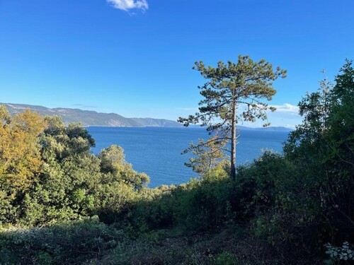 Bild 1 - Traumgrundstück Baugrund mit einzigartigem Blick