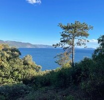 Traumgrundstück Baugrund mit einzigartigem Blick - Kran Traumgrundstück Baugrund mit einzigartigem Blick - Kran