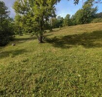 Baugrund 1313m2 Skigebiet 6km - 129.000,00 EUR Kaufpreis, ca. 1.313,00 m² in Norden Skigebiet (PLZ: 81200) Baugrund 1313m2 Skigebiet 6km - 129.000,00 EUR Kaufpreis, ca. 1.313,00 m² in Norden Skigebiet (PLZ: 81200)