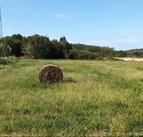 LANDWIRTSCHAFTLICHES GRUNDSTÜCK 7596 M2 ISTRIEN - Brtonigla