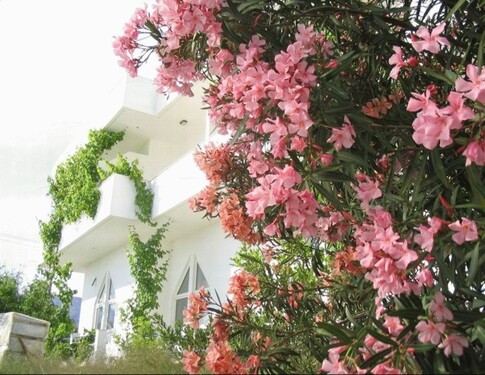 Bild 3 - 7 Zimmer Einfamilienhaus in Kato Chorio