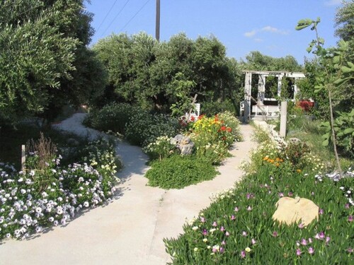 Bild 4 - Einfamilienhaus mit 600,00 m&sup2; in Kato Chorio zum Kaufen